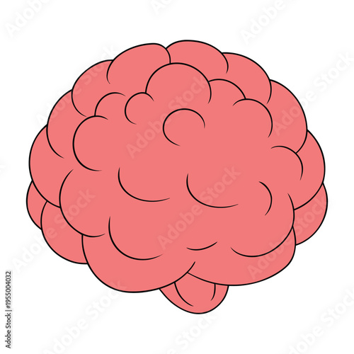 The brain is the body's command center, controlling thoughts, memory, emotions, and movement, processing information and keeping the body alive and functioning.
