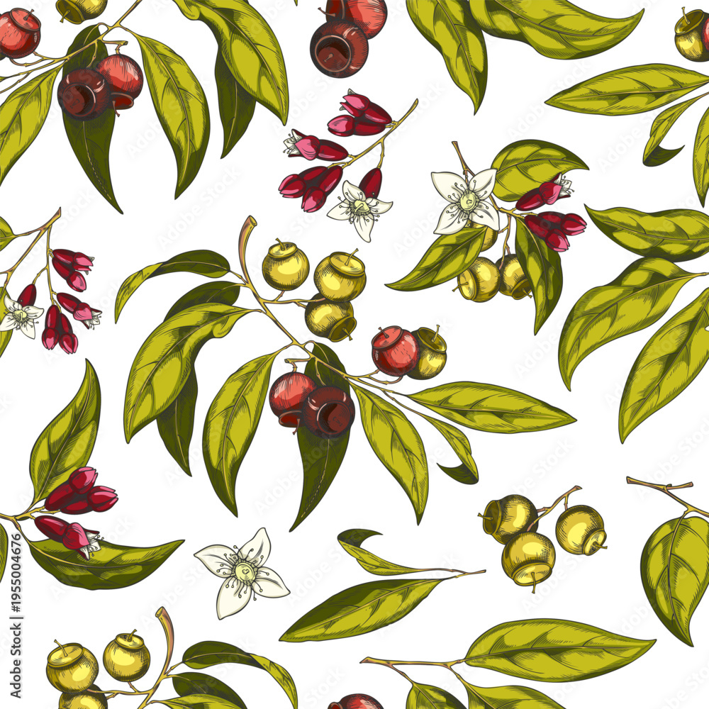 Fototapeta premium Sandalwood tree branch with leaves, flowers and seeds, vector sketch seamless pattern, cosmetics and perfume ingredient