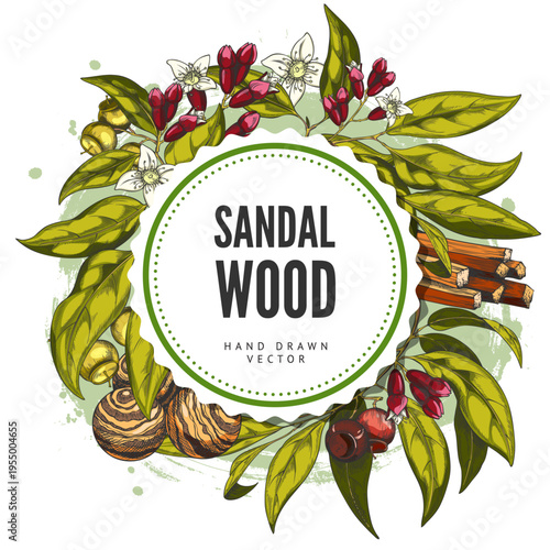 Sandalwood tree leaves, flowers, seeds with fragrant sticks and balls sketch, organic products vector round label design