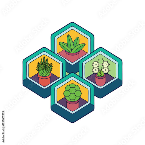 Group of four potted houseplants in hexagonal frames displaying diverse geometric plant designs