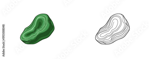 Malachite green mineral stone vector illustrations shown in colored cartoon and black outline linear styles, rich emerald green hues, representing natural rock on white background
