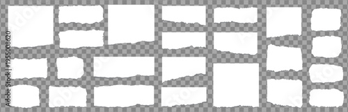 Torn white paper frames and labels set. vector realistic ripped paper pieces collection