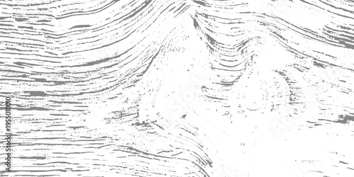 Black and white wood grain texture, detailed knots and flowing lines, rustic natural pattern, high contrast, minimalist organic background, fine line vector illustration style.