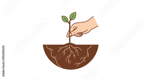 Hand holding small green plant sprout.