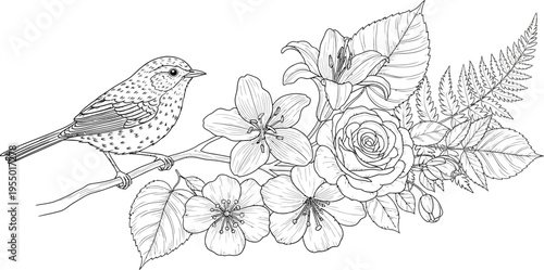 Elegant vector line art illustration of a small songbird perched upon a delicate branch surrounded by blooming flowers and detailed botanical foliage