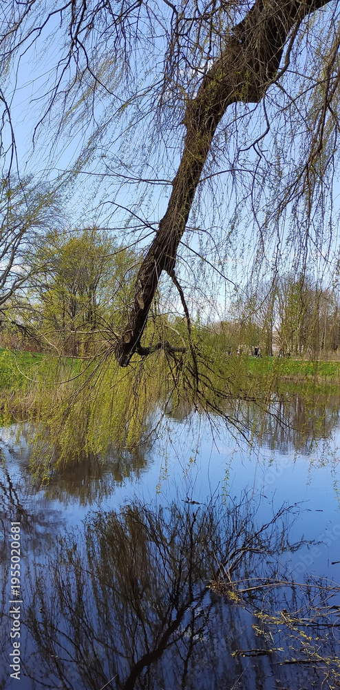 Obraz premium Scenic park landscape in Riga, Latvia with bright sunlight and greenery. Great for travel blogs, city branding, and seasonal campaigns.