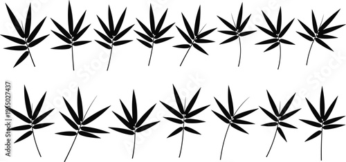 Cannabis leaf silhouette set with marijuana plant icons, black hemp leaves collection for botanical design, herbal illustration, medical cannabis concept and natural plant graphics