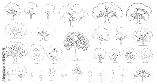 Tree Set Botanical Elements Tree Elevation Landscape Vector Icons Collection