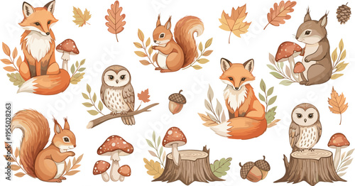 Cute woodland animals vector collection featuring fox squirrel owl rabbit mushrooms leaves and autumn forest nature illustration set