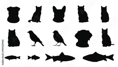 Assorted black silhouettes of domestic and wild animals are displayed against a pure white background for.