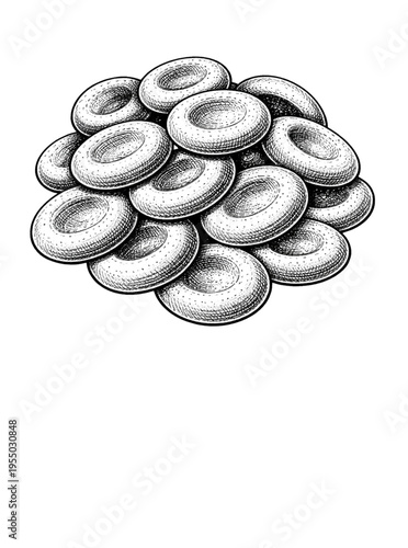 Vintage Anatomical Illustration of Red Blood Cells Engraving Style