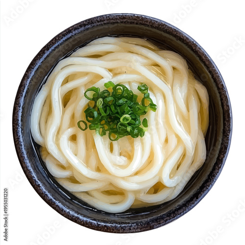 Udon Noodles, illustration watercolor artwork with subtle gradients and elegant contours, isolated on a white background.