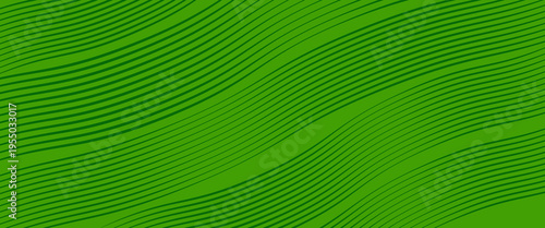 farm green banner, organic abstract background with fields. wavy green lines, natural organic products. Vektor illustration.