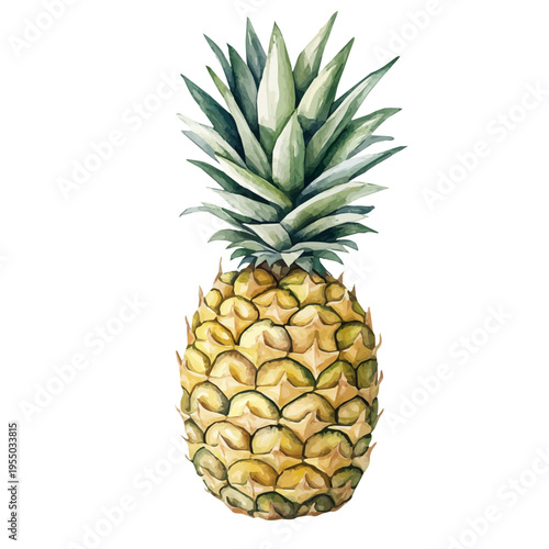Pineapple, illustration watercolor with playful splashes and delicate line details, isolated on a white background.