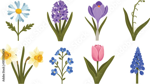 Vibrant collection of spring bulb flowers displays various colors and shapes including daisies, tulips, hyacinths, and crocuses.