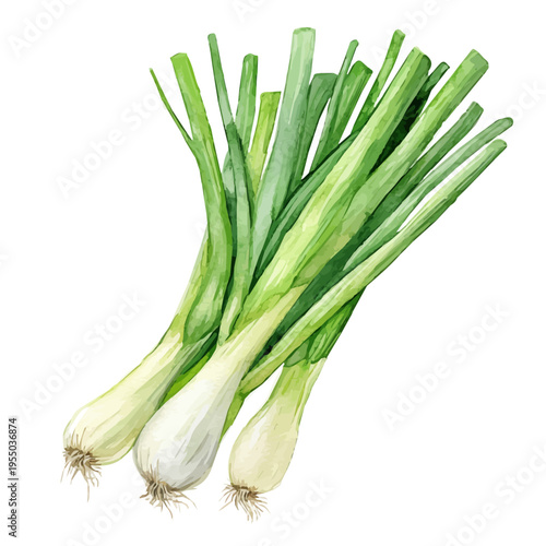 Green Onion, refined watercolor illustration with luminous tones and soft layered brushwork, isolated on a white background.