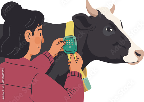 A farmer adjusts a wearable collar on a black and white cow.  Clear, modern illustration showcasing livestock technology.  Focus on adjustment and animal welfare.