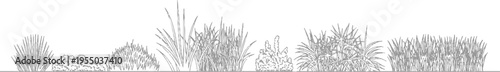 A line of various types of grasses and shrubs in shades of gray against a white background plant foliage