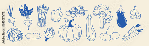 Minimalist Mediterranean hand drawn vegetable vector set. Organic food illustrations for packaging, menus, branding and healthy lifestyle design.