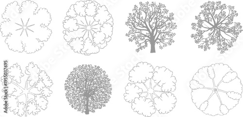 Eight different gray line of trees viewed from directly above showing various canopy shapes and branch structures
