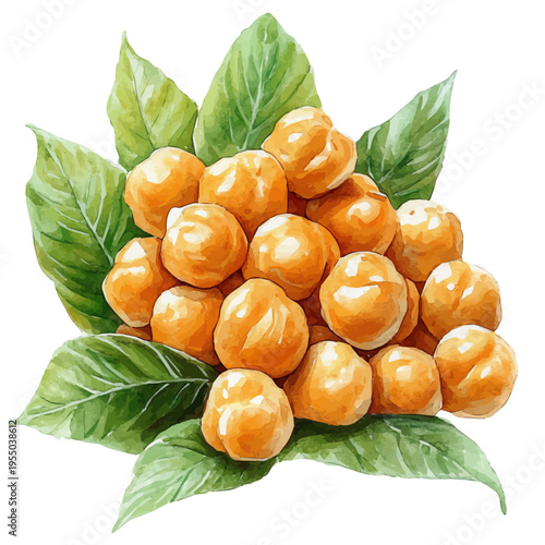 Chickpeas, illustration watercolor artwork with subtle gradients and elegant contours, isolated on a white background.