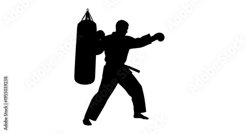 Silhouette of a Martial Artist Training with a Heavy Punching Bag