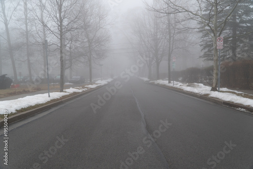 Misty morning view down a suburban residential street enveloped in dense fog, with bare winter trees lining the silent asphalt road and melting snow along the curbs.