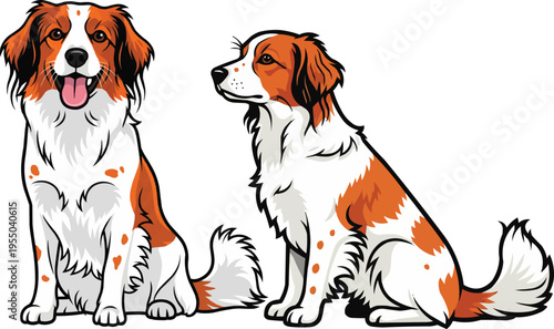 Kooikerhondje dog sitting happy smiling side profile view pose set 
