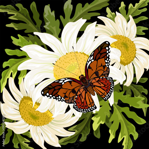 A bouquet of daisies with a bright butterfly.Bright butterfly and a bouquet of daisies on a black background in color vector illustration.
