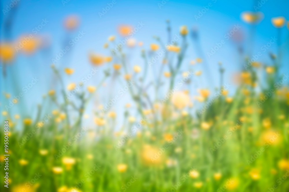 Obraz premium Blurred Wildflower Field on a Sunny Day