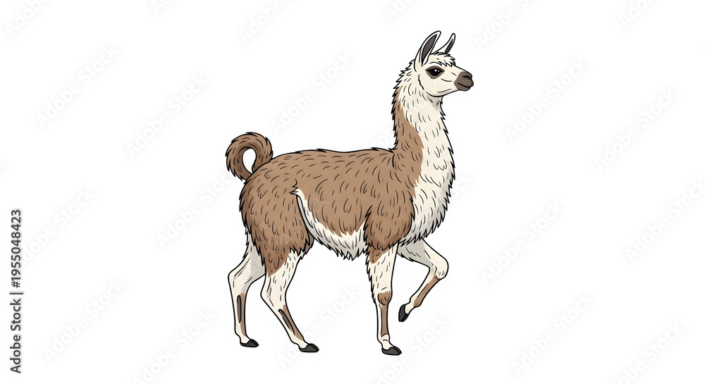 Naklejka premium A brown and white llama walks on a transparent background freely outdoors.