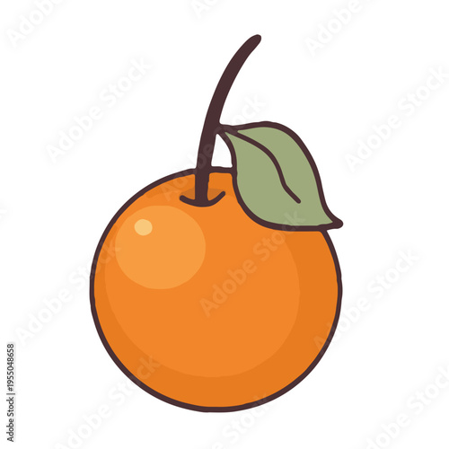 Tangerine vector illustration
