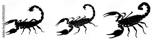 The Silent Sting: A Tale of the Scorpion's Cunning