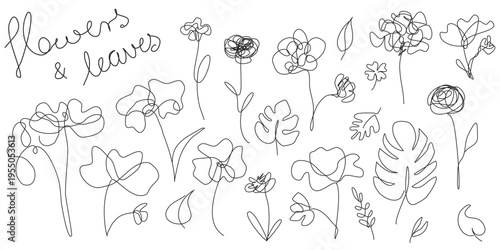 One line flowers vector illustration isolated on white background 