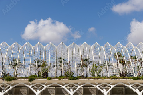 Futuristic architectural pattern with palm trees in Valencia Spain