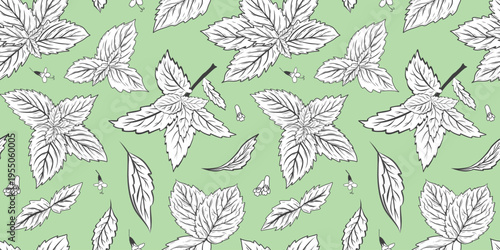 Vector seamless pattern with detailed herbal leaves inspired by mint, sage or nettle on a light green background. Suitable for packaging, fabric and natural design.