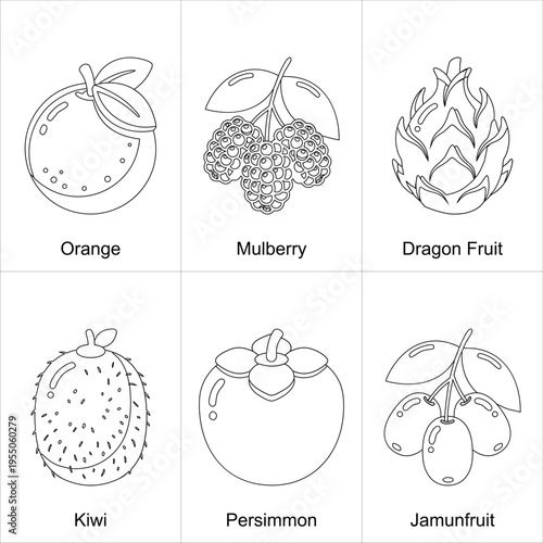Fruit Outline Icon Set - Orange, Mulberry, Dragon Fruit, Kiwi, Persimmon, Jamunfruit Vector Line Icons