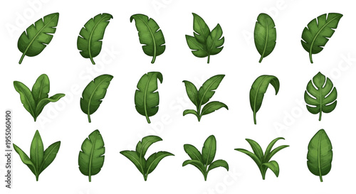 Grid of Twenty Varied Green Leaves in Four Rows for Botanical Study