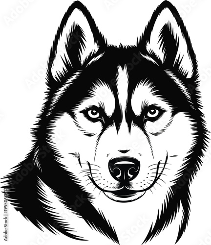 Black and white husky dog head illustration
