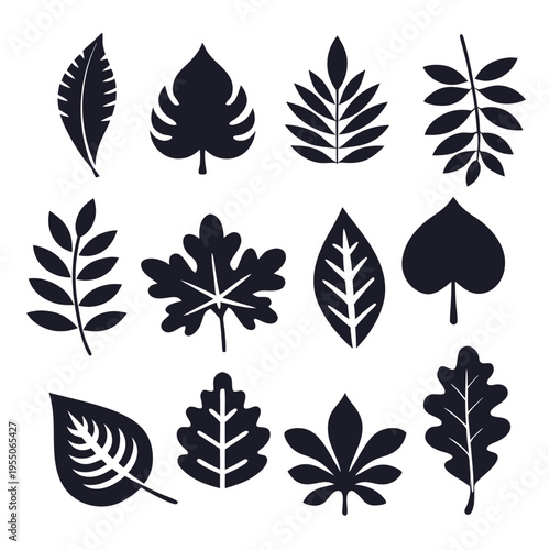 A collection of diverse stylized leaves showcases botanical variety in simple, elegant silhouettes
