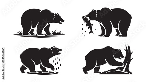 Black silhouette bears hunting catching fish and walking in nature for wildlife and conservation concepts