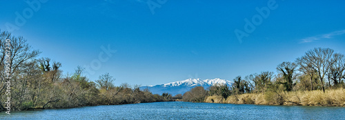 Panoramic river landscape with bare trees lining the banks and the distant snow-covered peaks of Mount Canigou under a vast blue sky. River Tech, department Pyrénées-Orientales, France.
