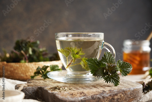 A cup of nettle tea with fresh plant collected in spring