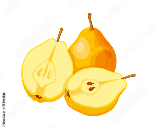Group of juicy pears in cartoon style. Vector illustration of tasty pears: whole, half, with seeds isolated on white background. Useful seasonal fresh fruits.