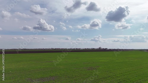 Clouds over green fields of sprouted wheat; Aerial shot of vast fields covered in agricultural crops