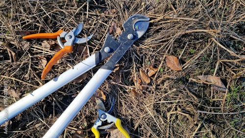Принти на полотні A lopper and two pruners lie on the ground, top view