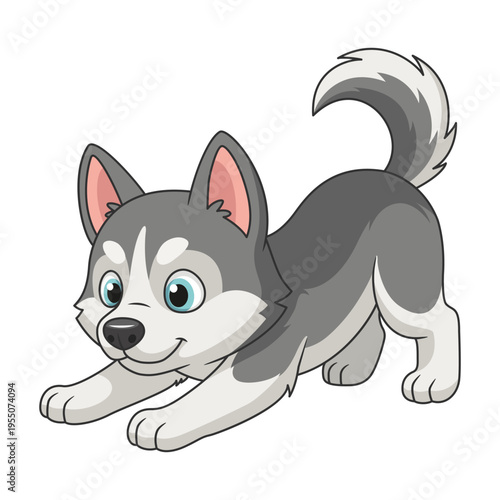 Playful Siberian Husky Puppy Isolated on White Background