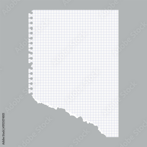 Checkered notepad school paper page with a torn corner, vector realistic white torn sheet of notebook with ripped edge