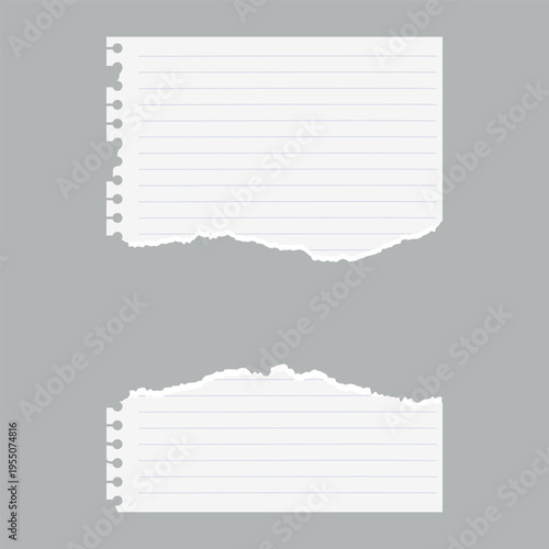 Torn scraps of lined notebook paper with jagged edges.