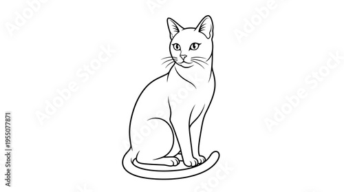 White Cat Sitting Alone Facing Side.